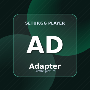 Adapter setup.gg profile picture