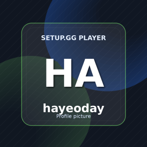 hayeoday setup.gg profile picture