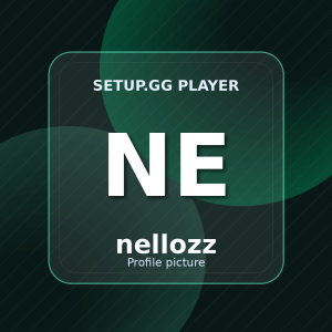 nellozz setup.gg profile picture