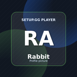 Rabbit setup.gg profile picture